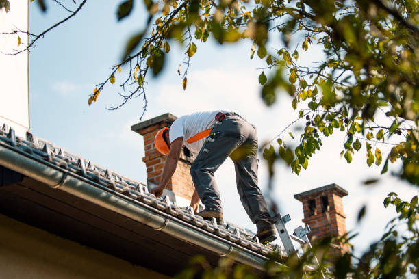 Best Roof Gutter Cleaning  in Garfield, NJ